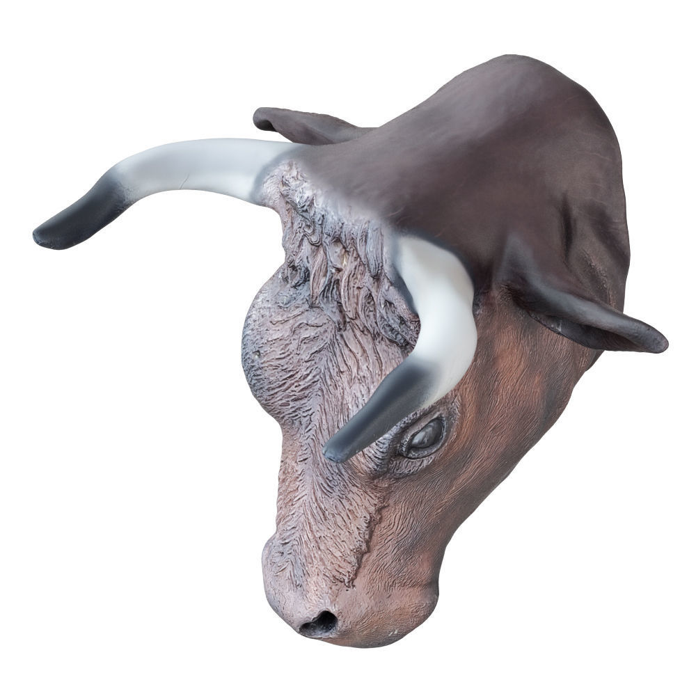 Decorative bull head on the wall 3D model CGTrader
