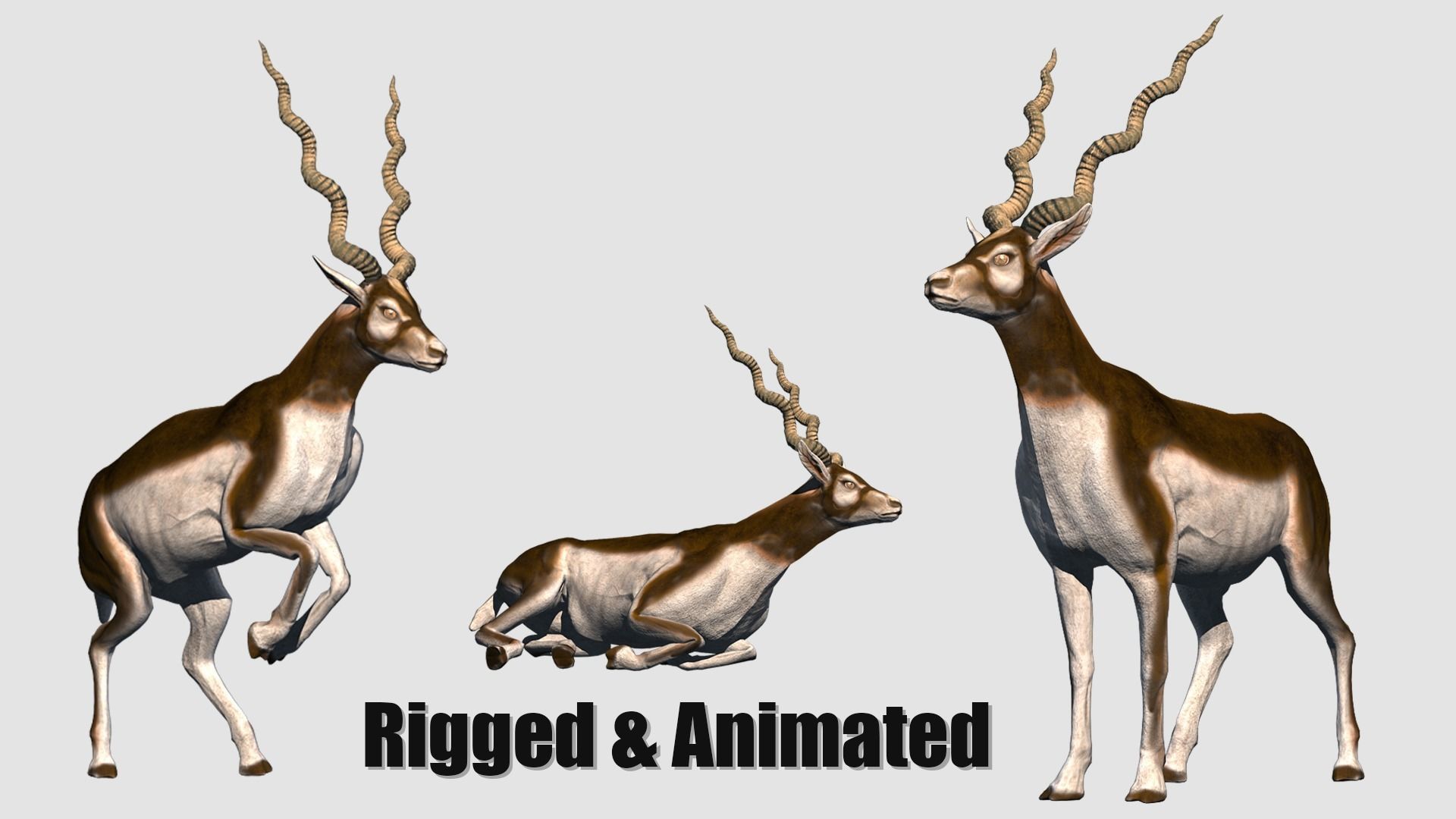 animated antelope