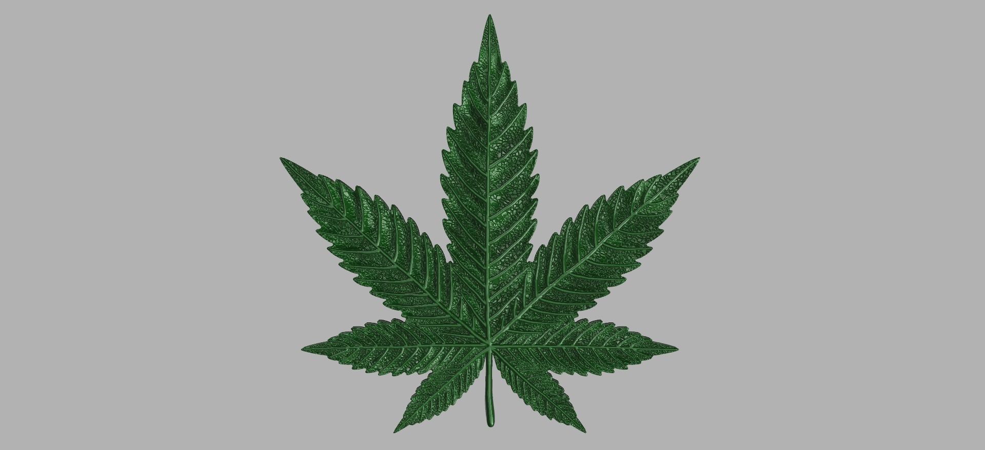Marijuana leaf