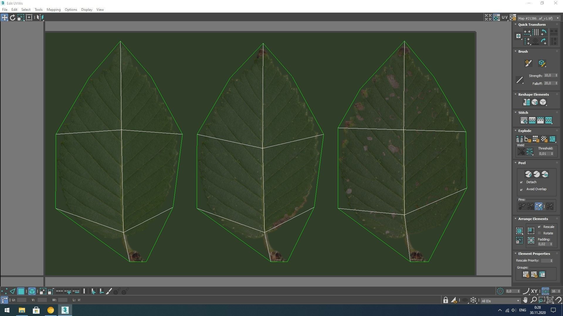 3D model Elm tree animated 3D model animated | CGTrader