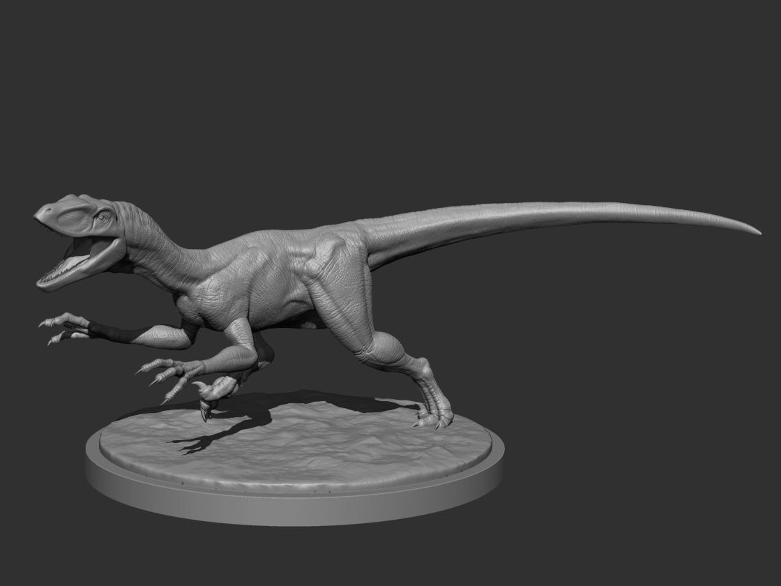 3D Raptor for Printing 01 3D model 3D printable | CGTrader