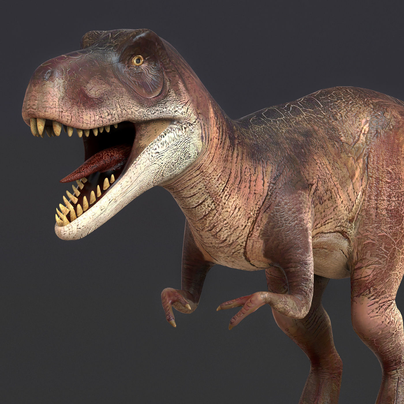 Young Trex Dinosaur