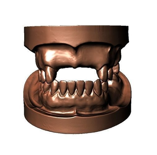 3D model Dental Model rpd cast upper lower VR / AR / low-poly | CGTrader