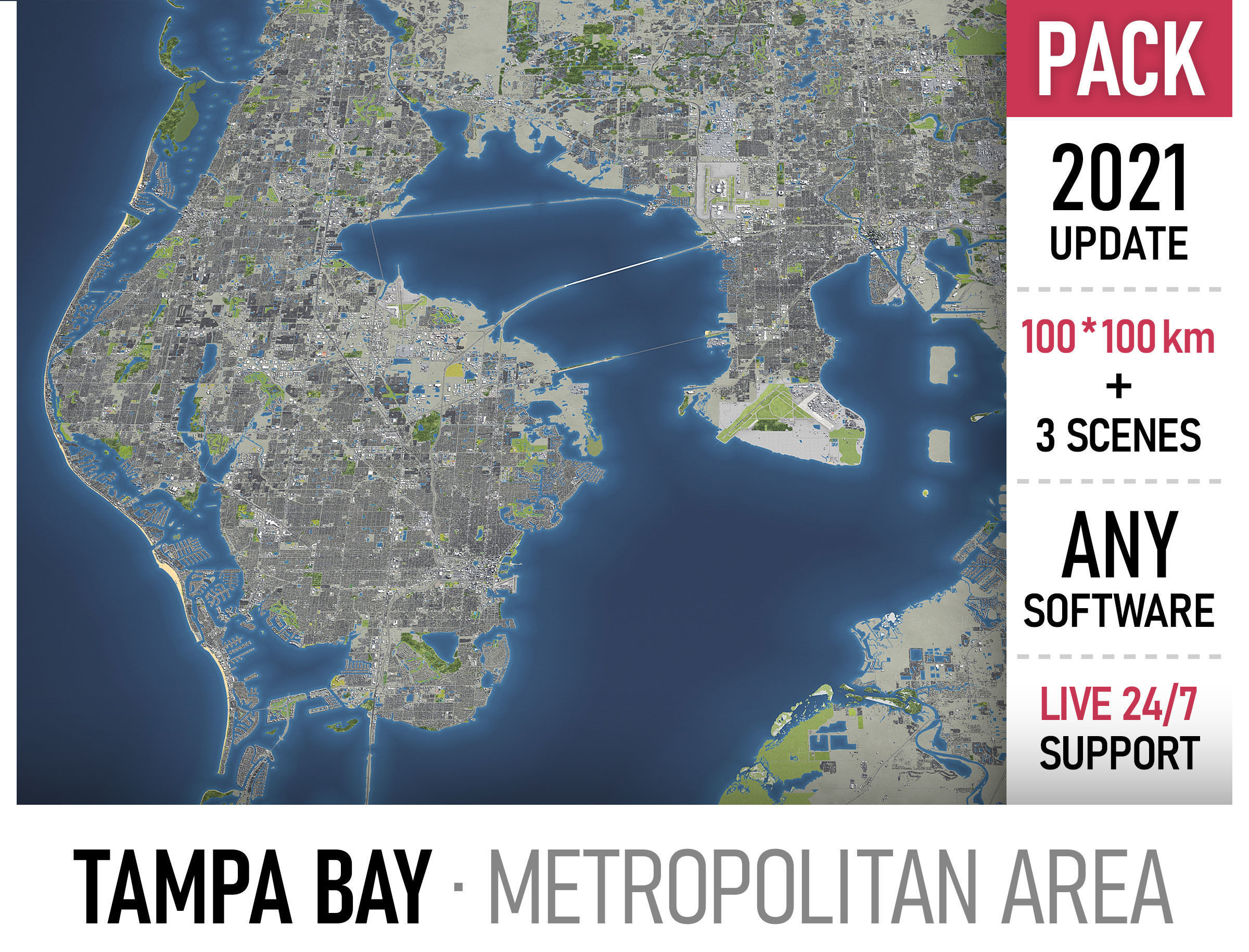 Tampa Bay Area