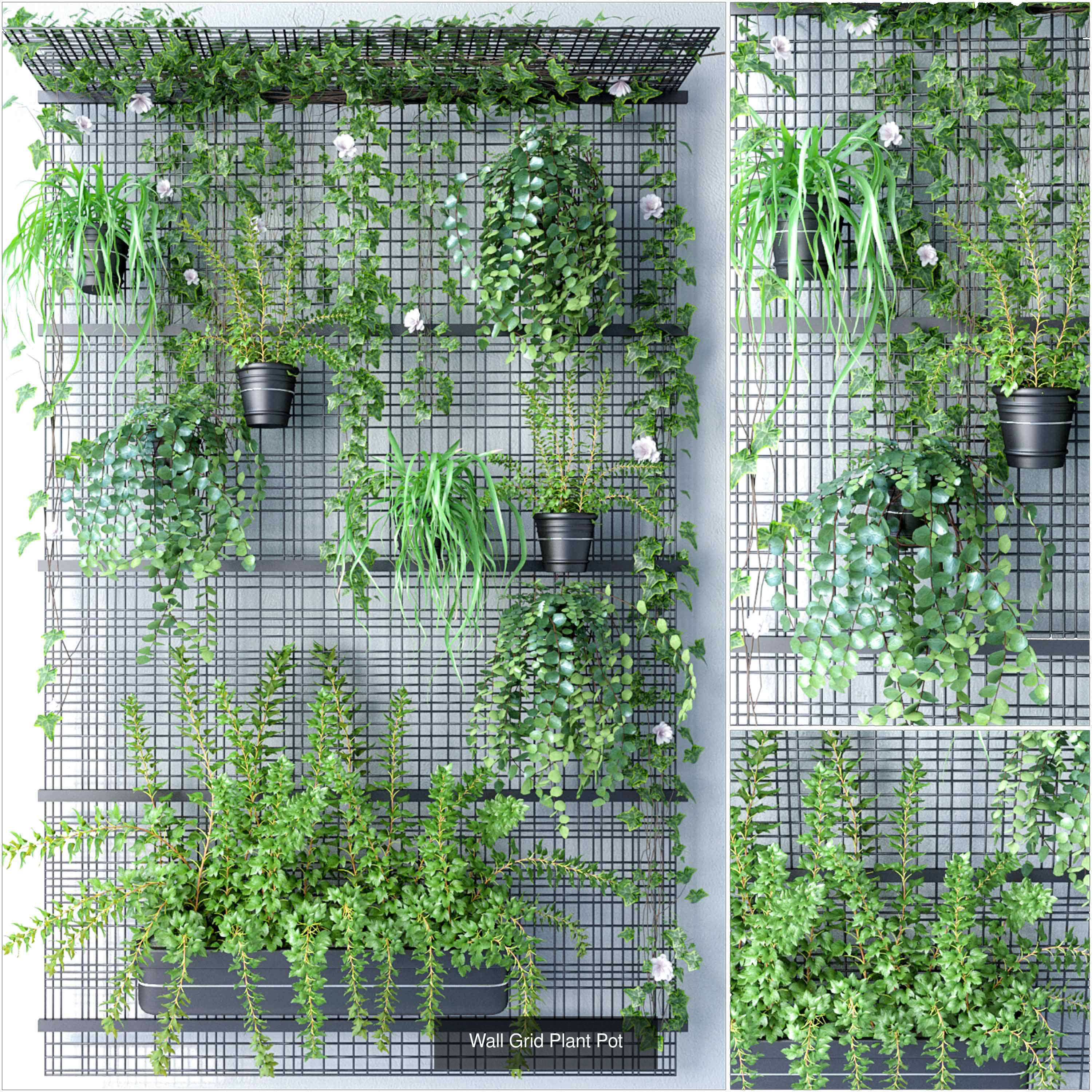 Wall Grid Plant Pot 3D Model Collection CGTrader