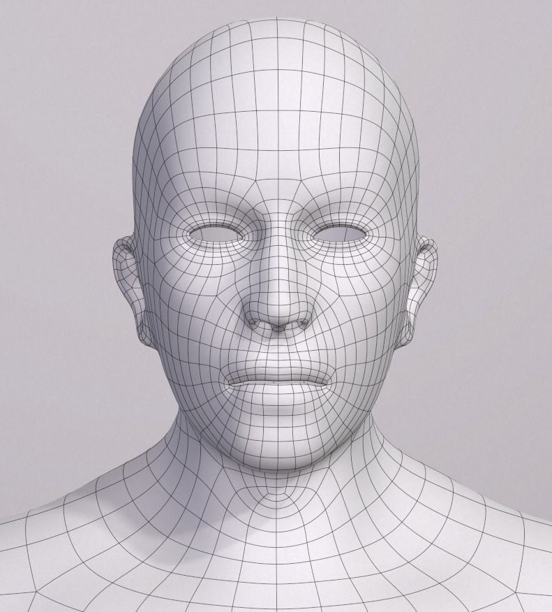 3D model Human Body Base Mesh VR / AR / lowpoly CGTrader