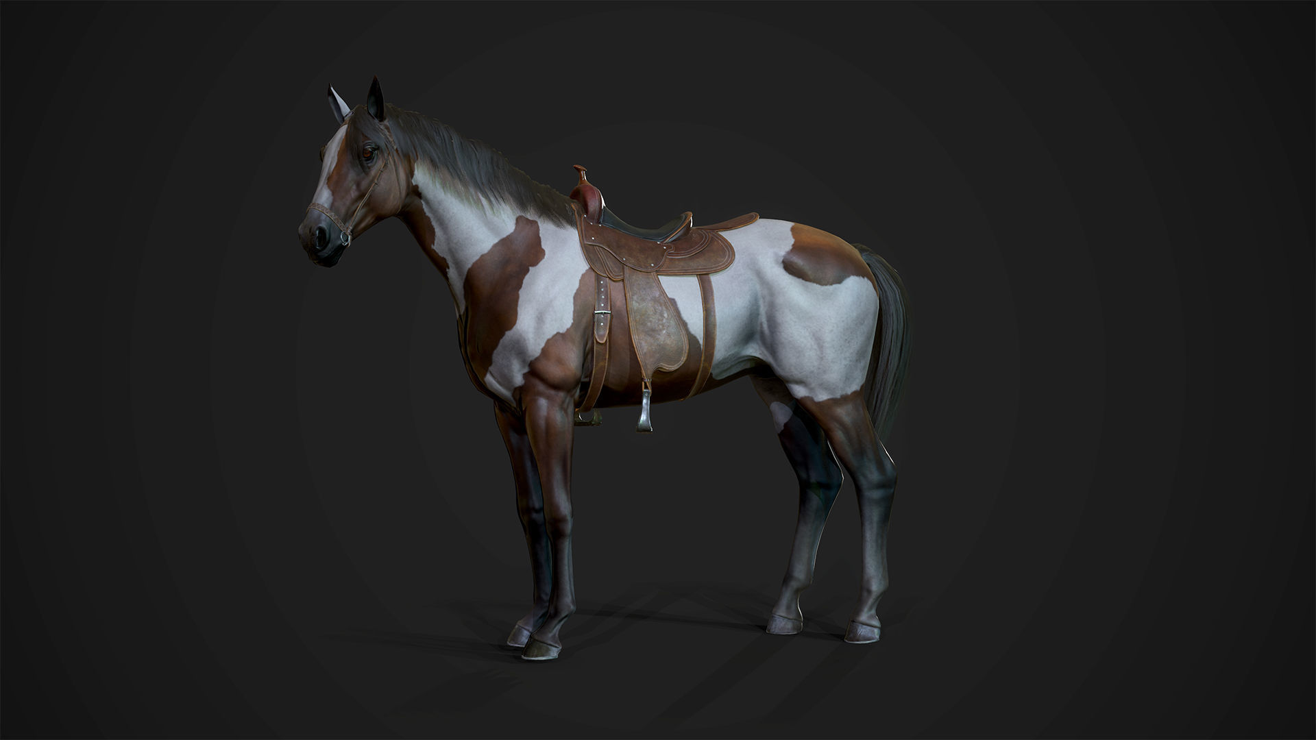 3D model Stallions Game Ready horse VR / AR / lowpoly rigged