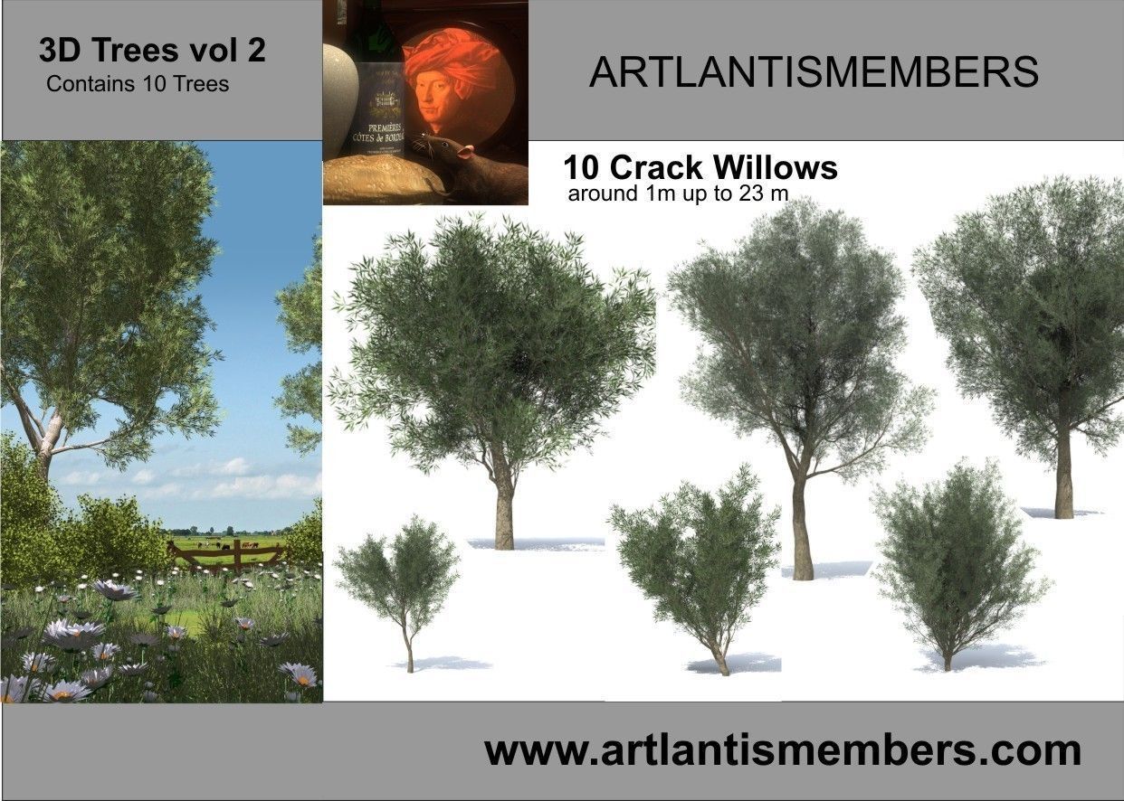 tree vol 2 crack willow  3D model