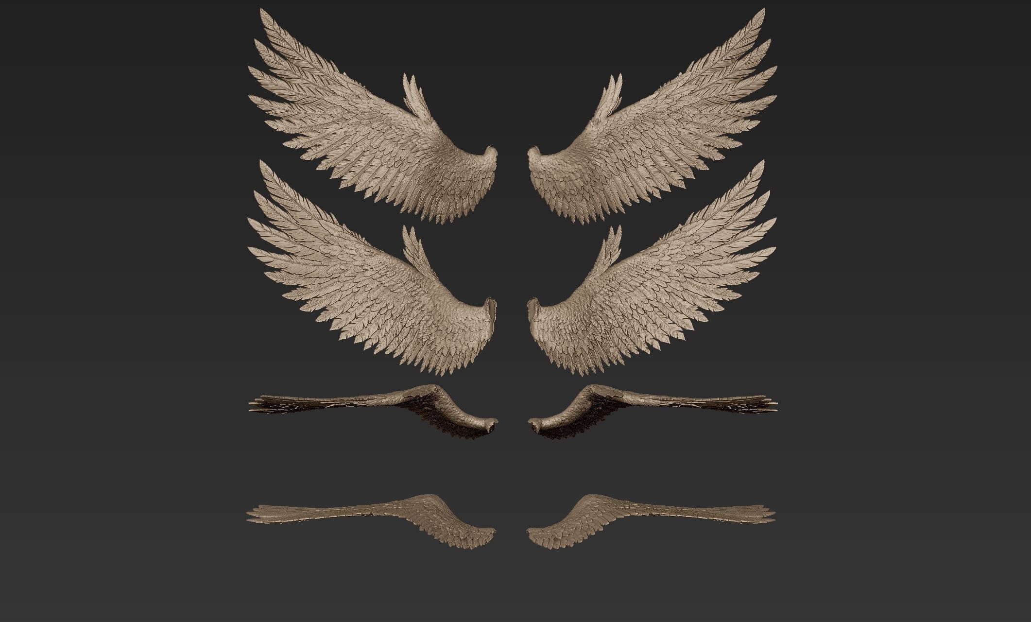 Wings 2 Zbrush Sculpt 3D model CGTrader