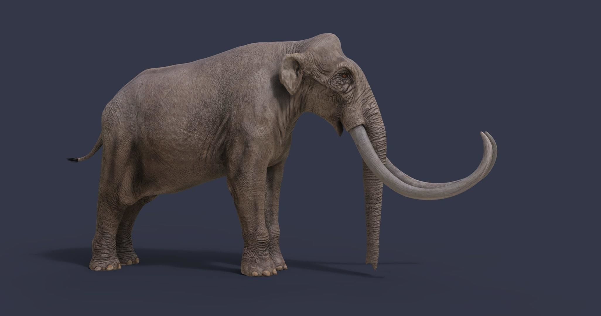 Extinct animals pack version 17 3D model CGTrader