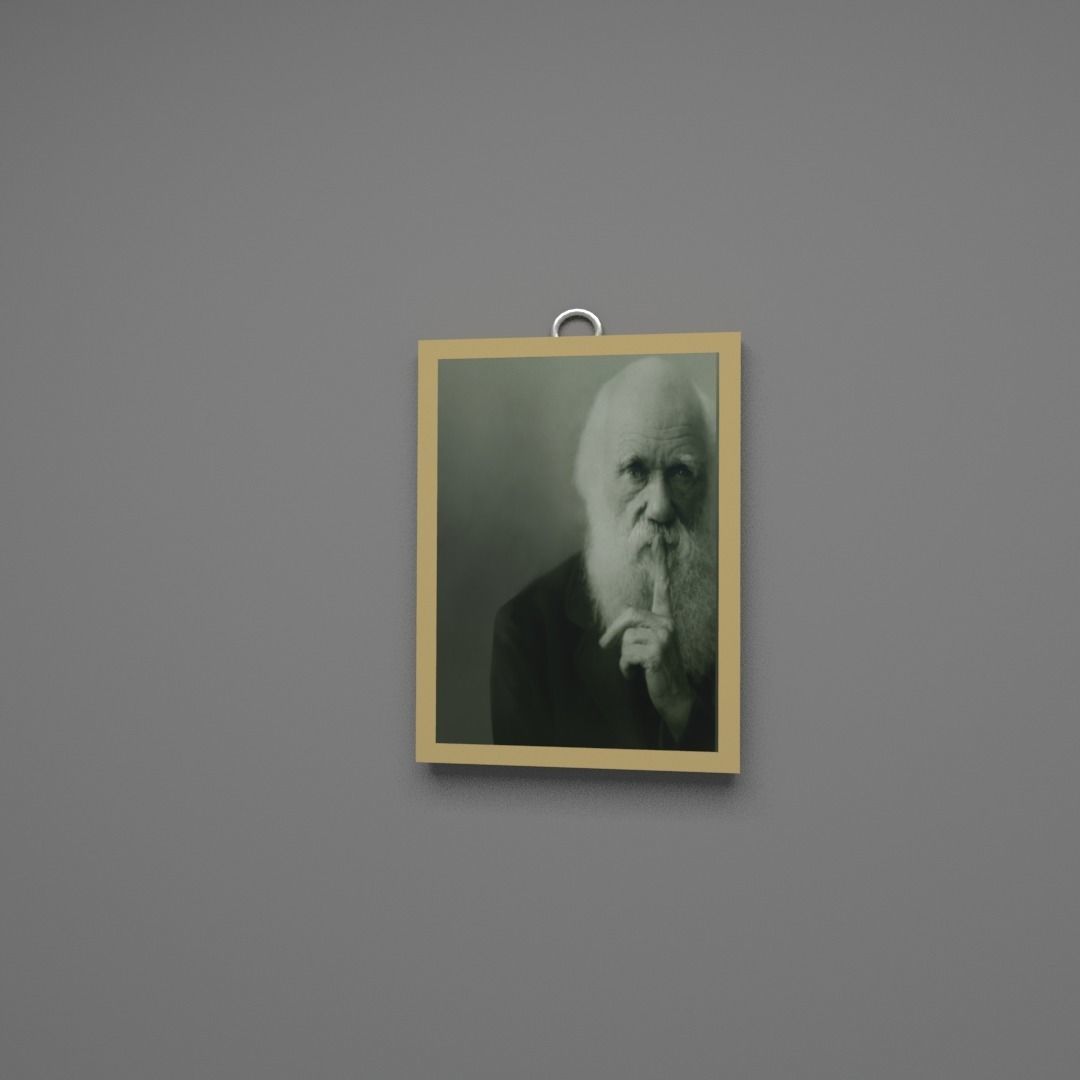3D model Charles darwin wall frame VR / AR / lowpoly CGTrader
