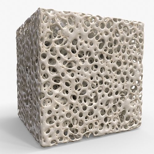 3D model Bone Sponge Structure VR / AR / lowpoly CGTrader