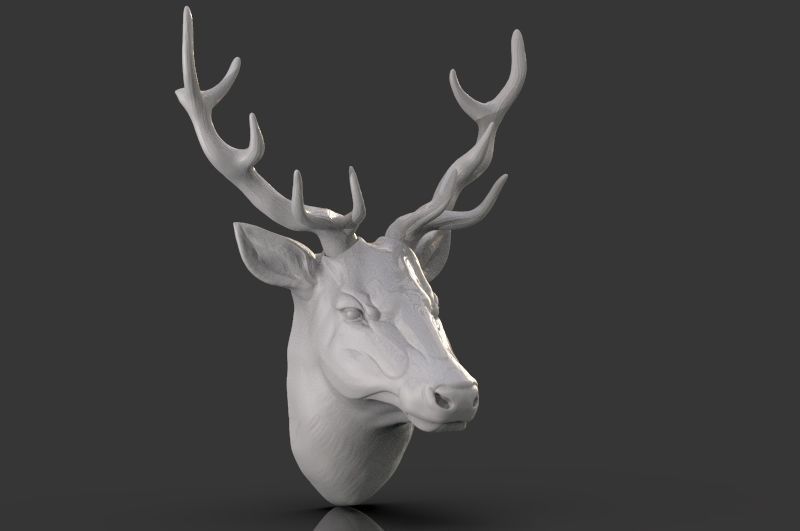 Deer Head 3D model 3D printable | CGTrader