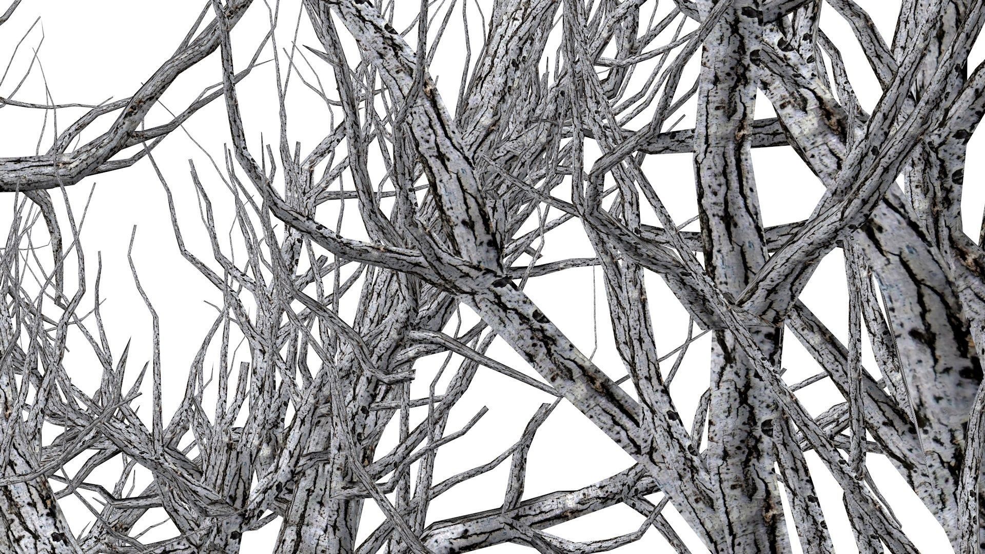 Root 5 trees low-poly 3D model | CGTrader