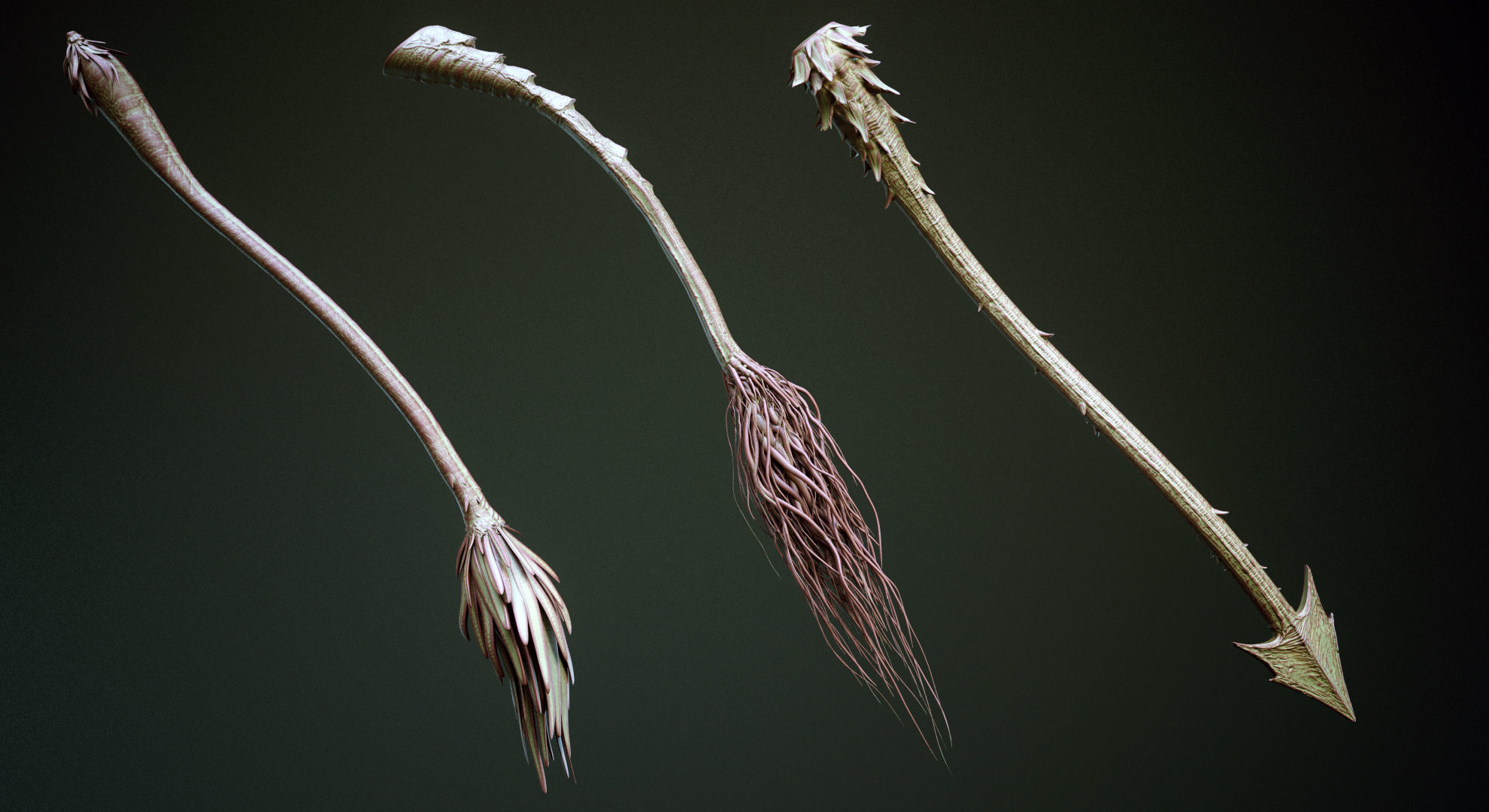 TAILS 33 Tail Meshes and Curve Brushes 3D model CGTrader