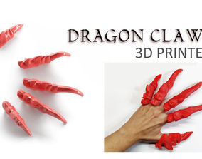 Dragon claw 3D Printing Models | CGTrader