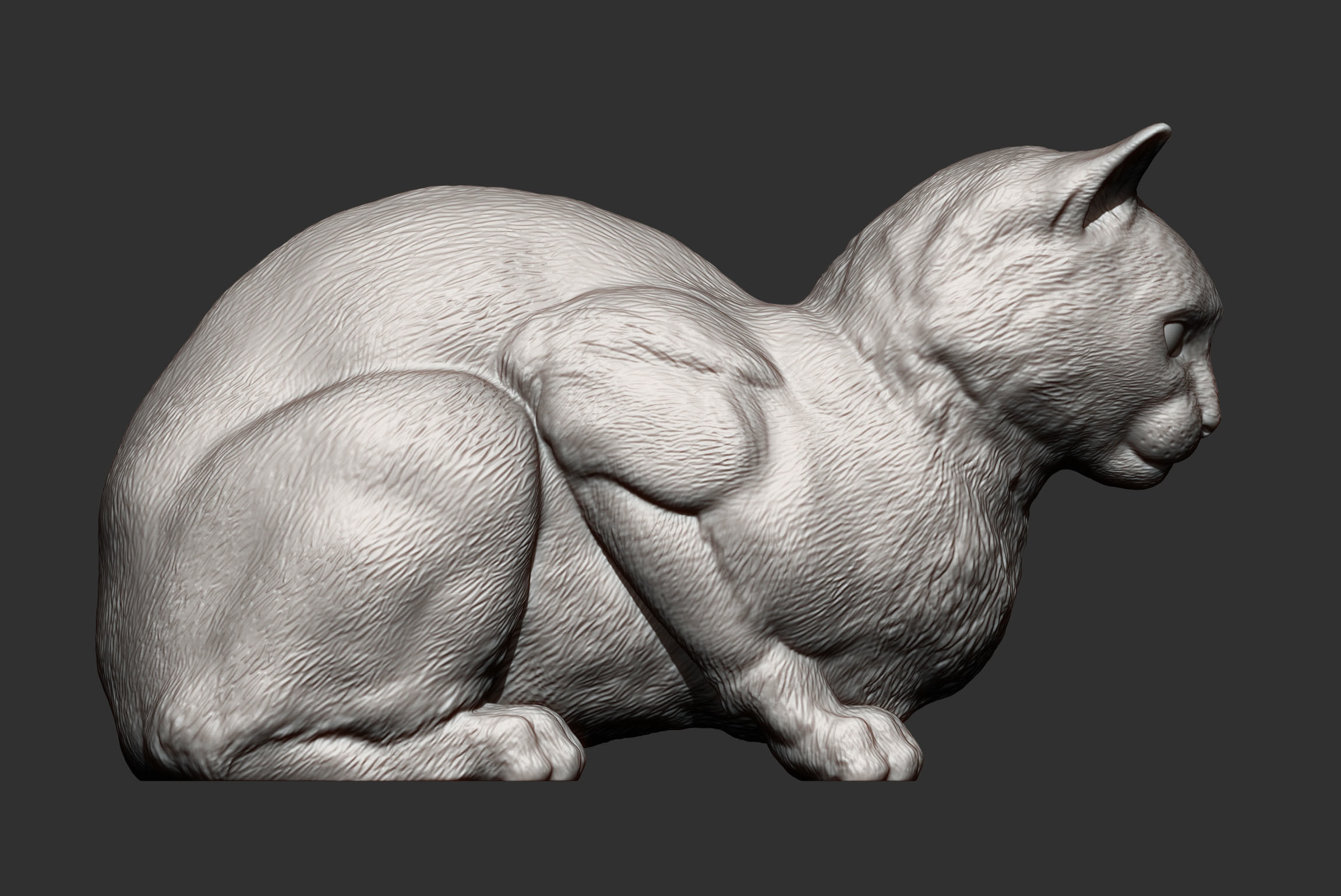 Cat for 3d printing 3D print model 3D model 3D printable | CGTrader