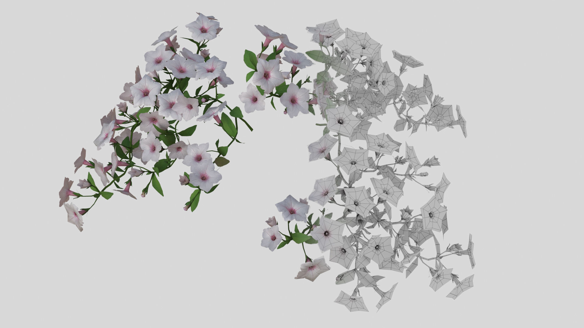 Hanging Flower Petunia 3D model CGTrader