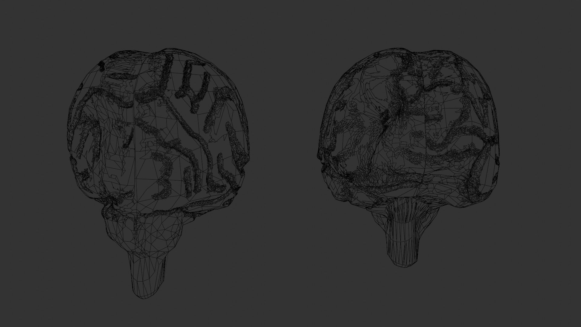 3D model low poly brain anatomy VR / AR / low-poly | CGTrader
