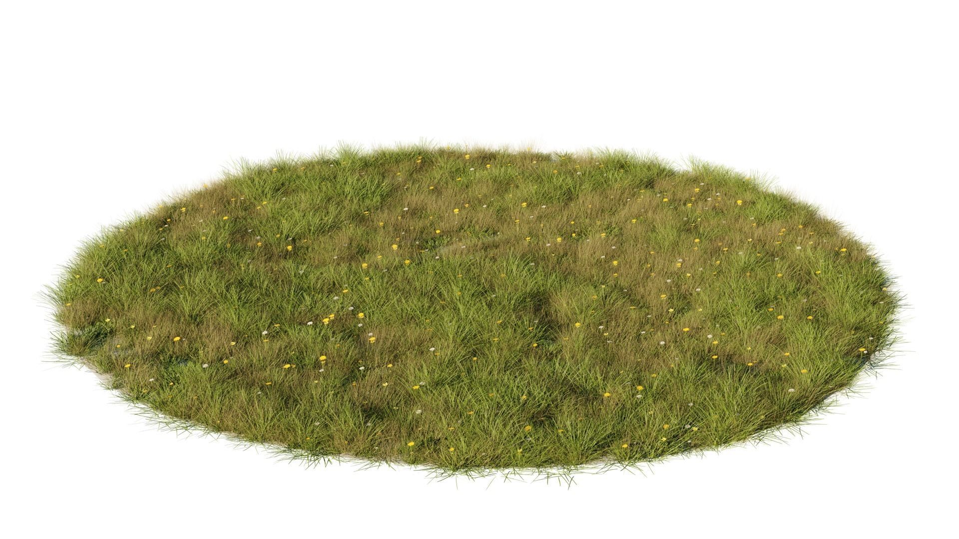 Grass Set 3d Model Cgtrader