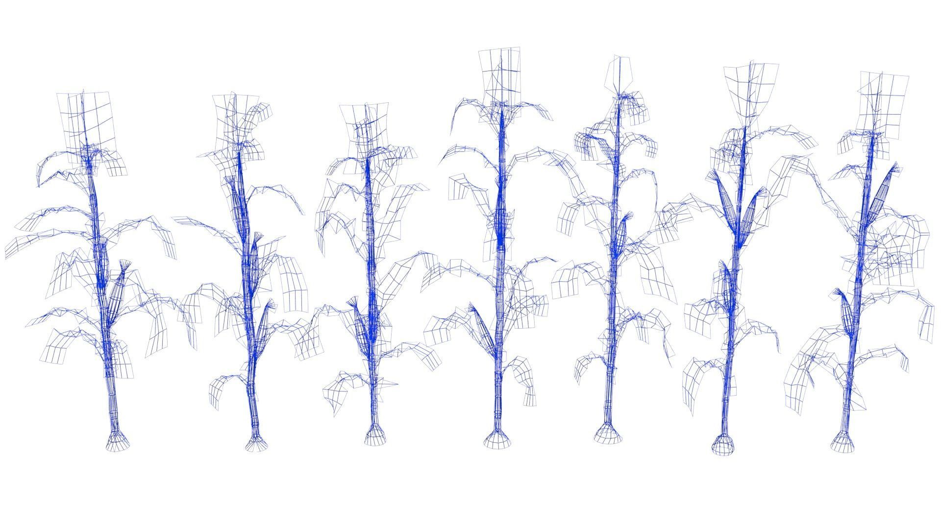 3D model Corn field VR / AR / lowpoly CGTrader