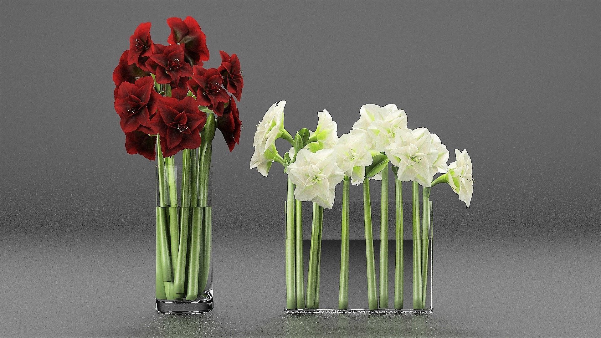Set of Red and White Flowers free 3D model CGTrader