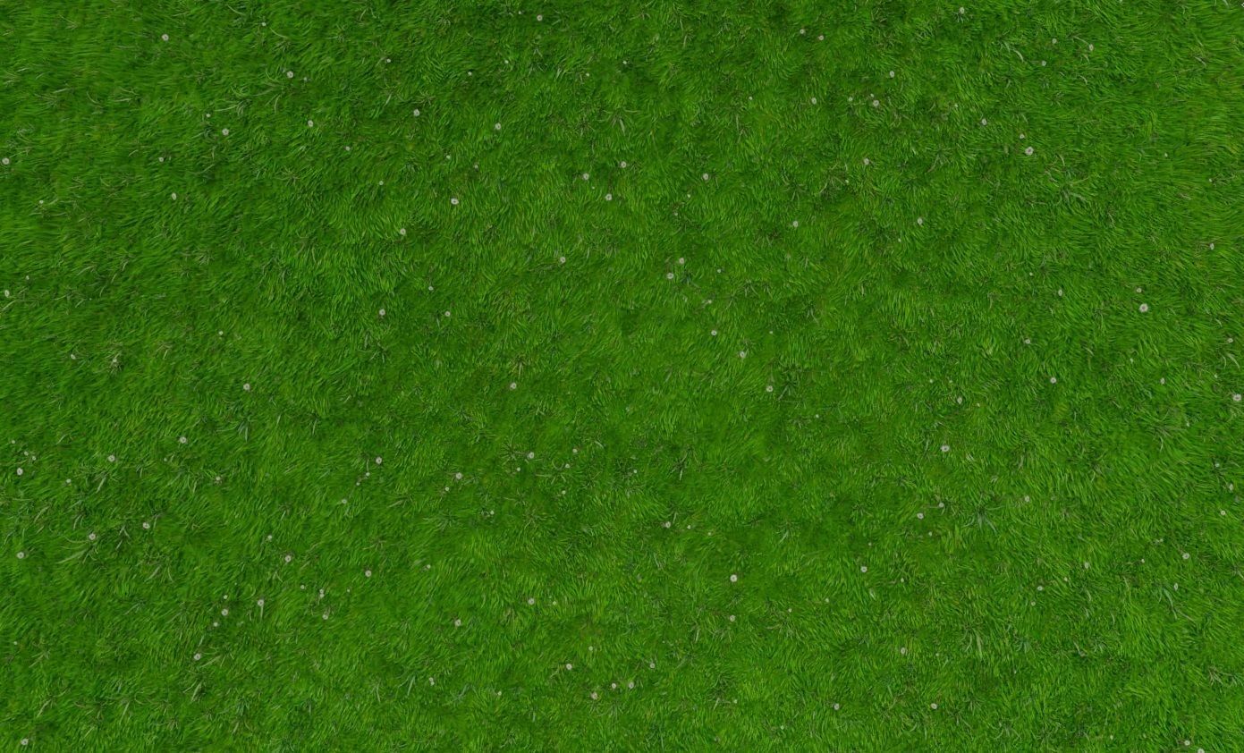 Blender Grass 3D Model 3D model CGTrader