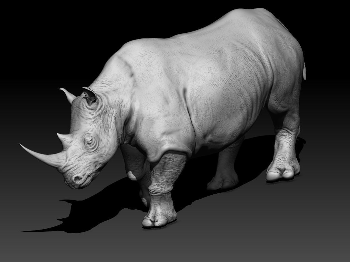 Sculpt of a White Rhino for SLA or FDM Printing 3D model 3D printable