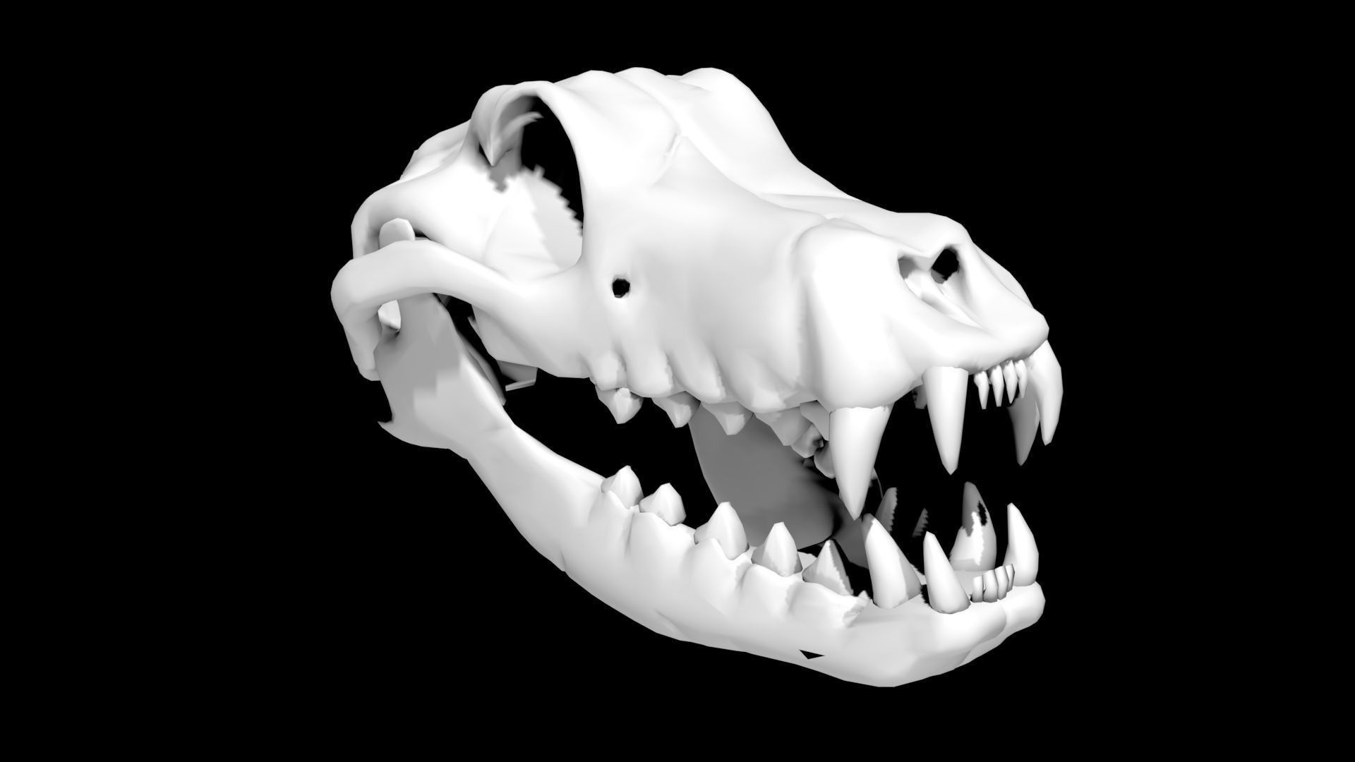 3D model Dog Skull VR / AR / lowpoly CGTrader