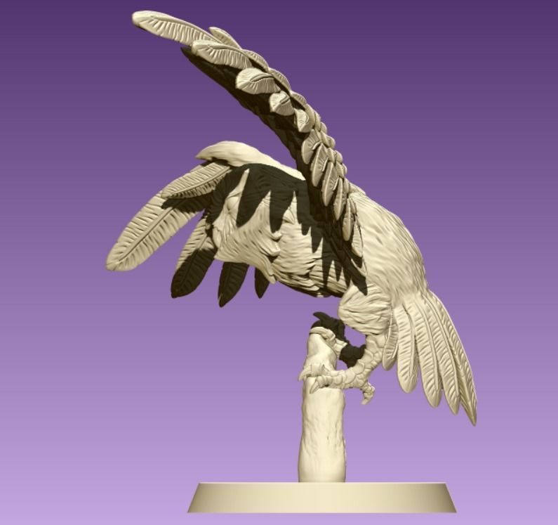 Barn Owl 3D model 3D printable | CGTrader