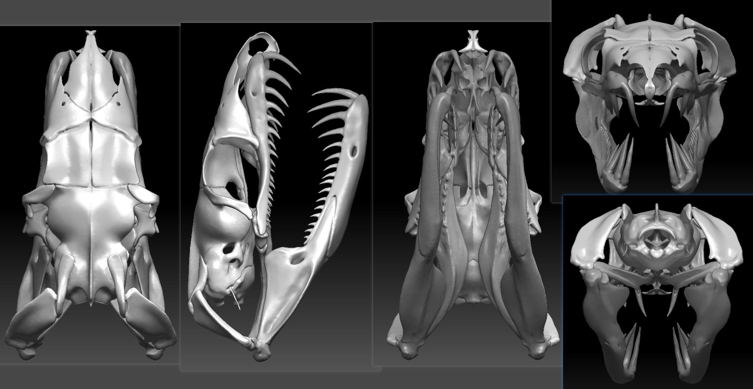 Python Skeleton Snake Lamp Decoration Scanned Printable replicas 3D ...