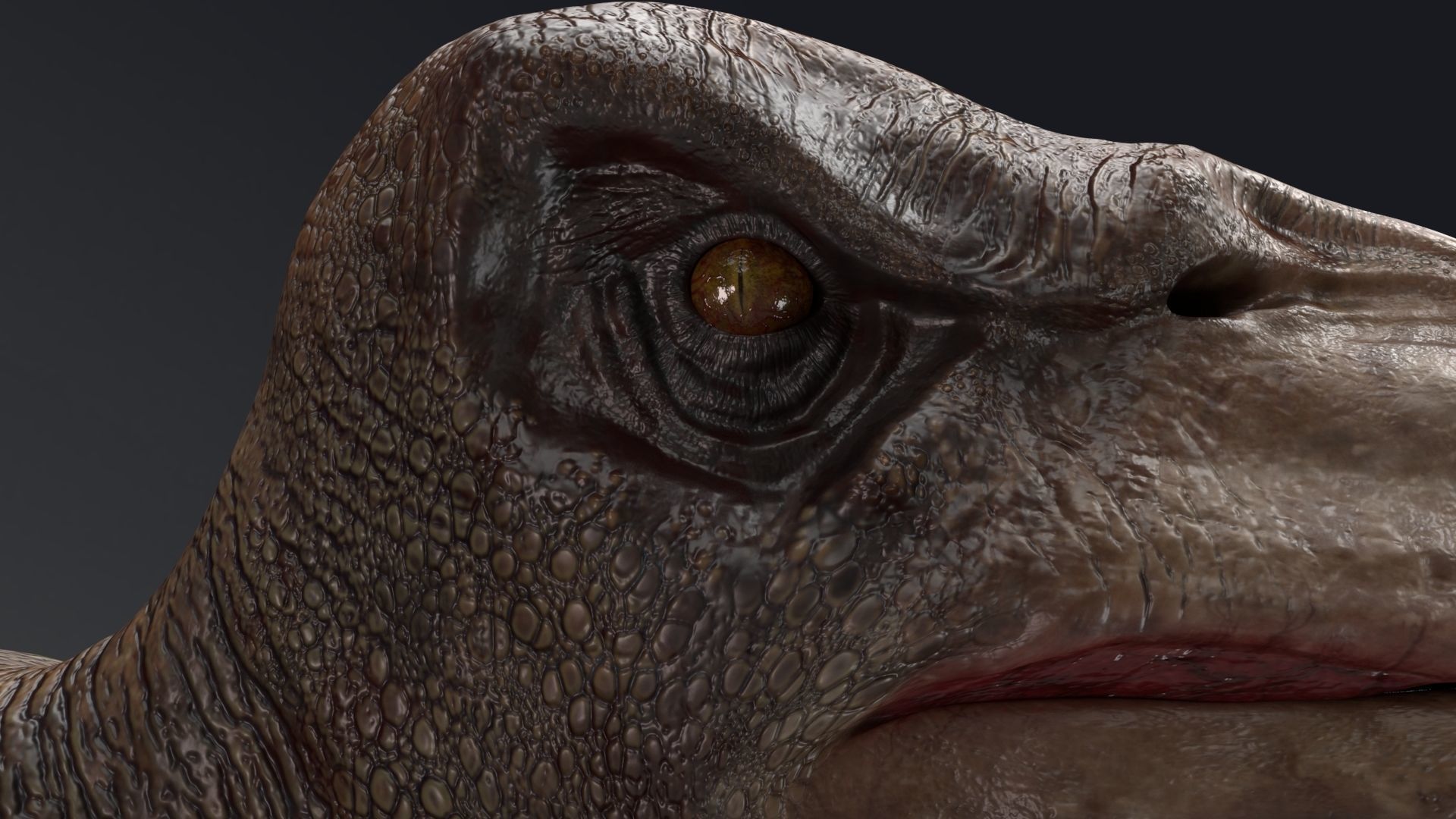 3D model Tropeognathus dinosaur flying VR / AR / lowpoly CGTrader