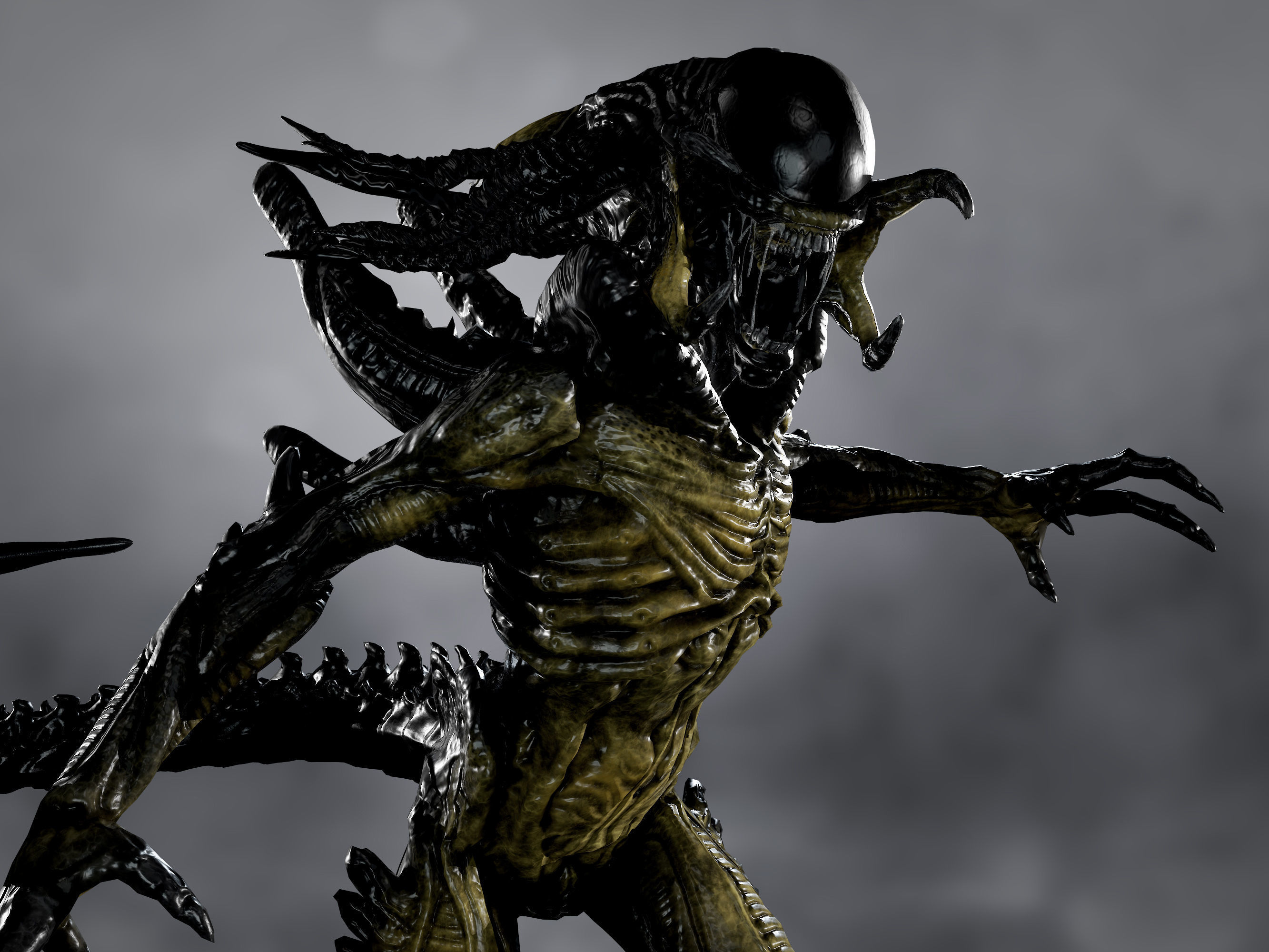 3D model Predalien VR / AR / low-poly rigged | CGTrader