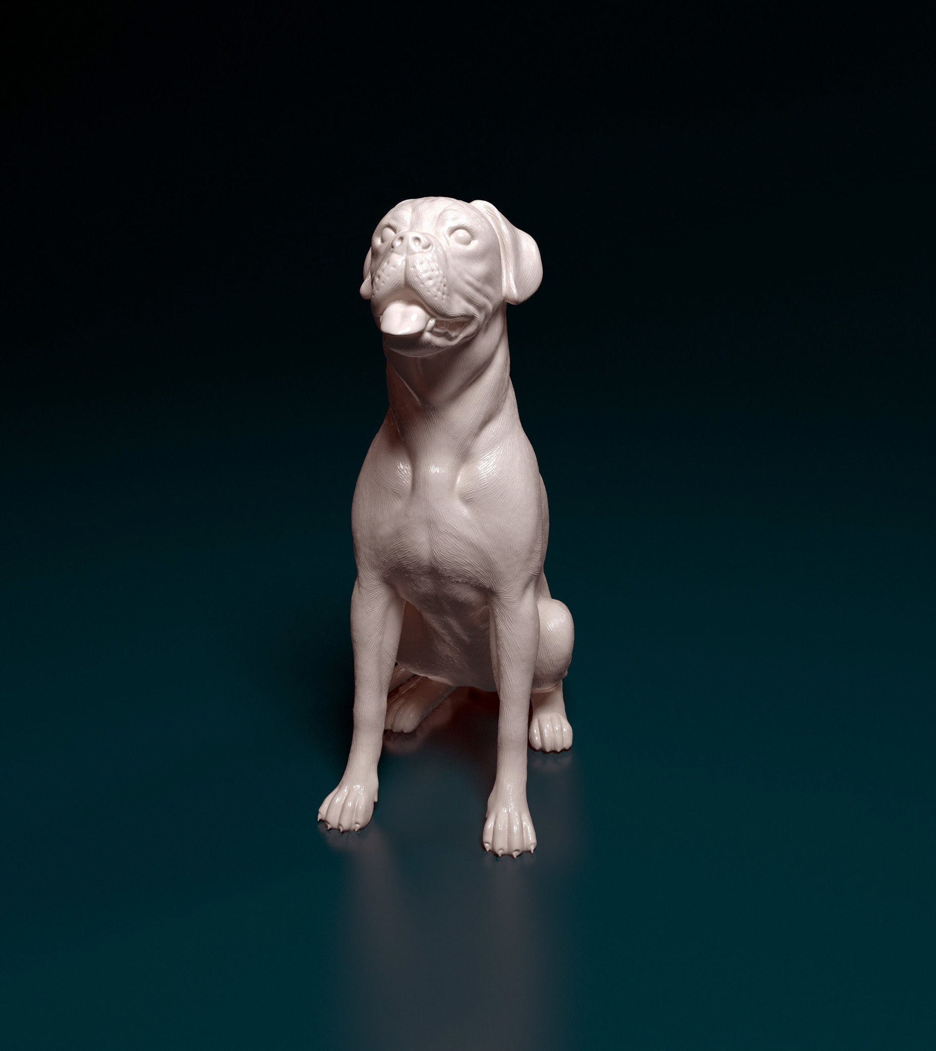 Boxer dog 3D model 3D printable CGTrader