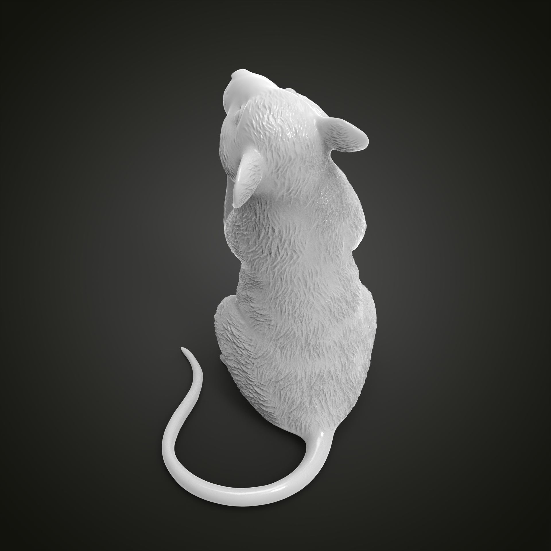 Mouse 3D model 3D printable | CGTrader