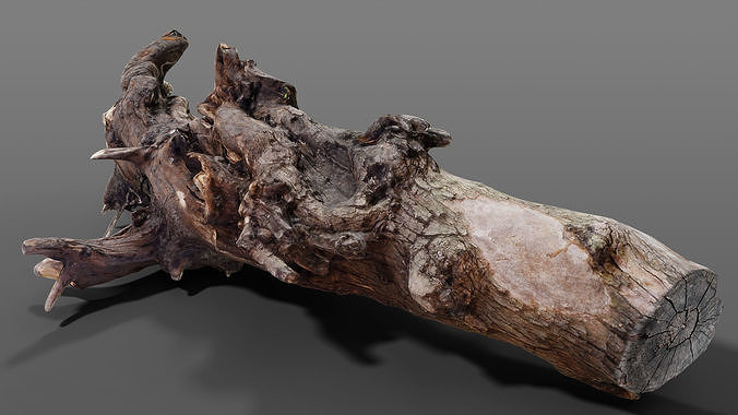Old Snag Free 3d Model Cgtrader Old Snag Free 3d Model Cgtrader