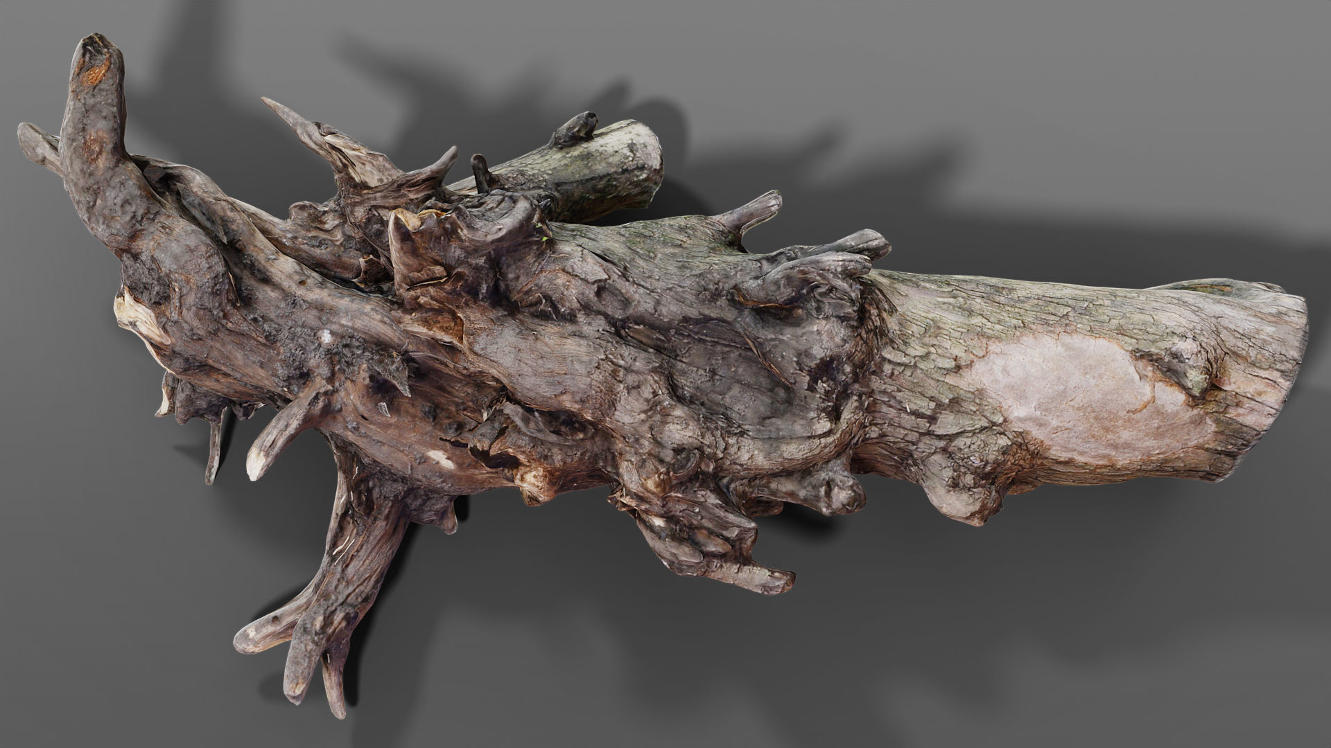 Old Snag Free 3d Model Cgtrader Old Snag Free 3d Model Cgtrader