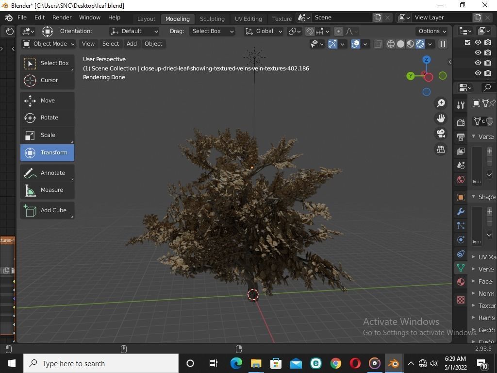 Blender tree 3D model | CGTrader