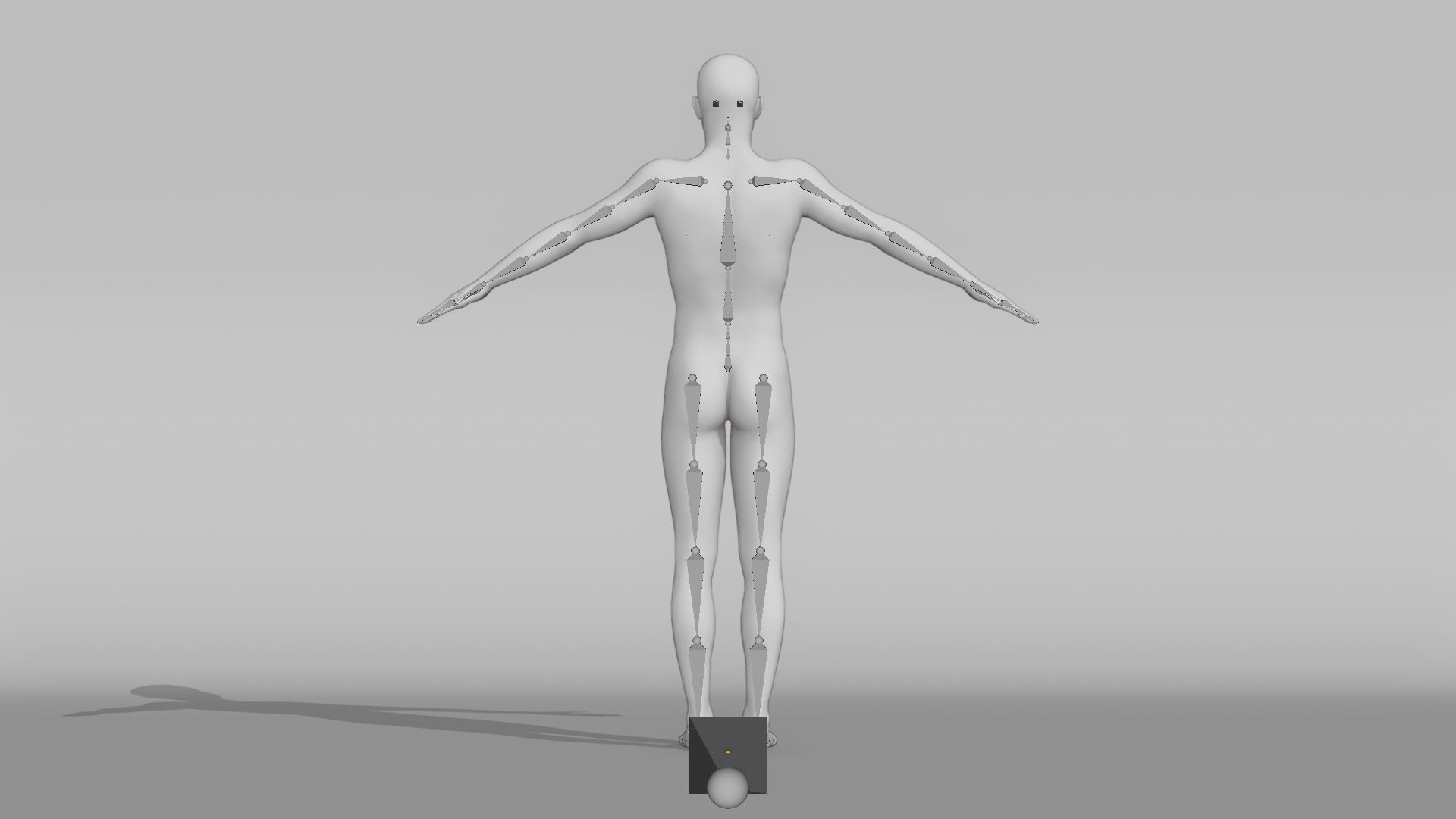 Realistic Base Characters Pack 3D model rigged | CGTrader