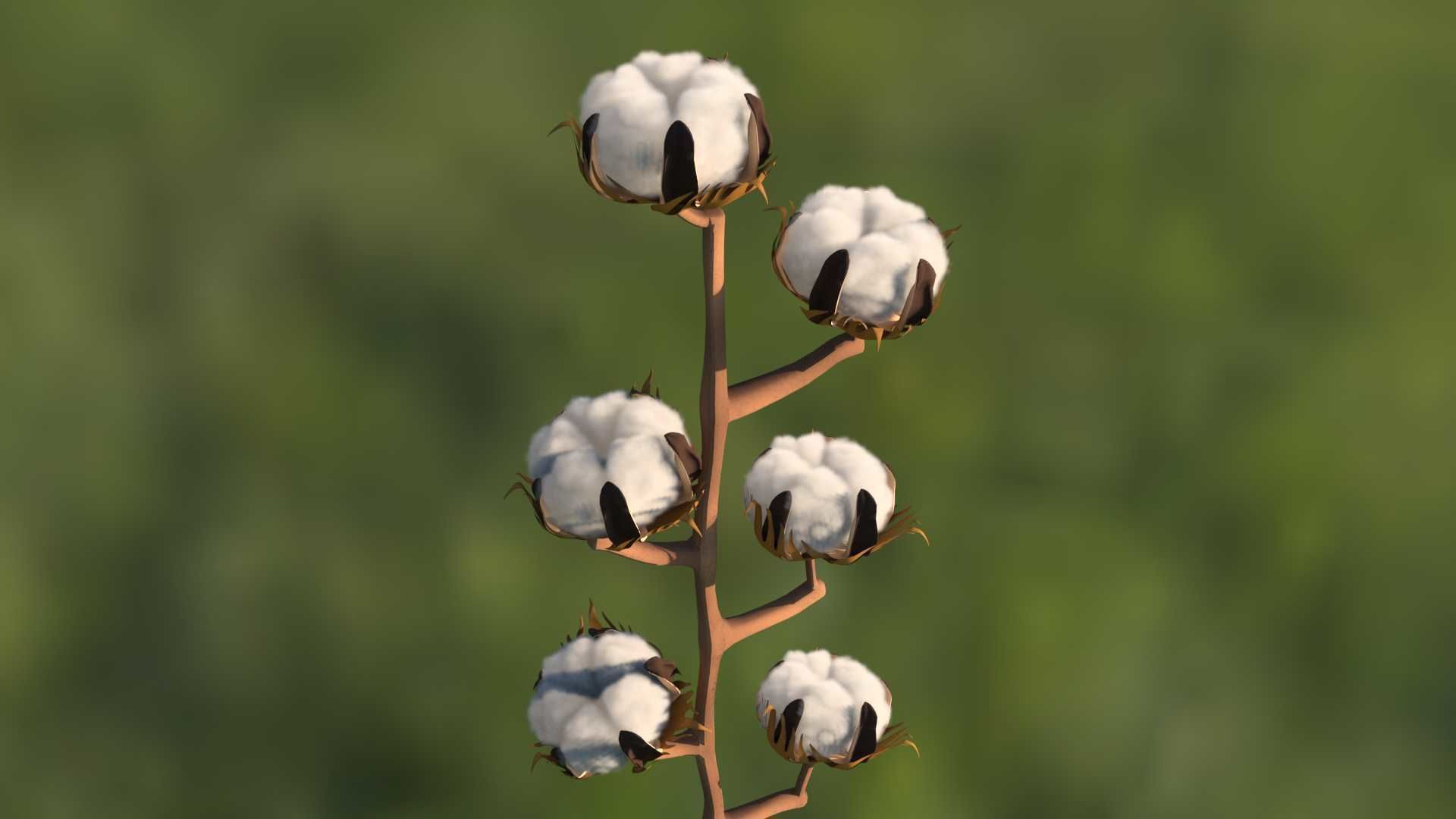 3D model dry cotton branch dry cotton branch cotton tree cotton ball VR
