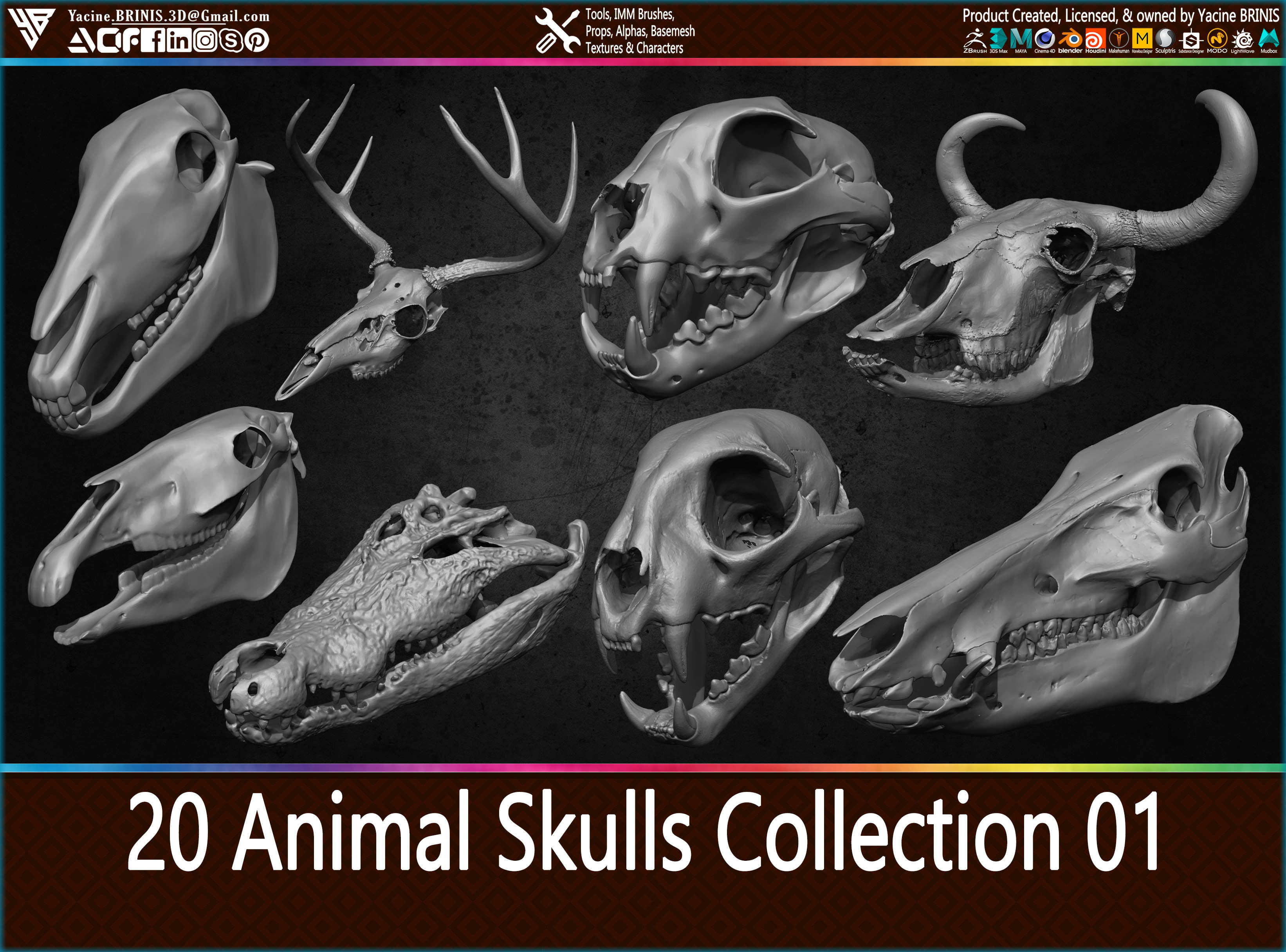 3D model 20 Animal Skulls Collection 01 VR / AR / lowpoly CGTrader