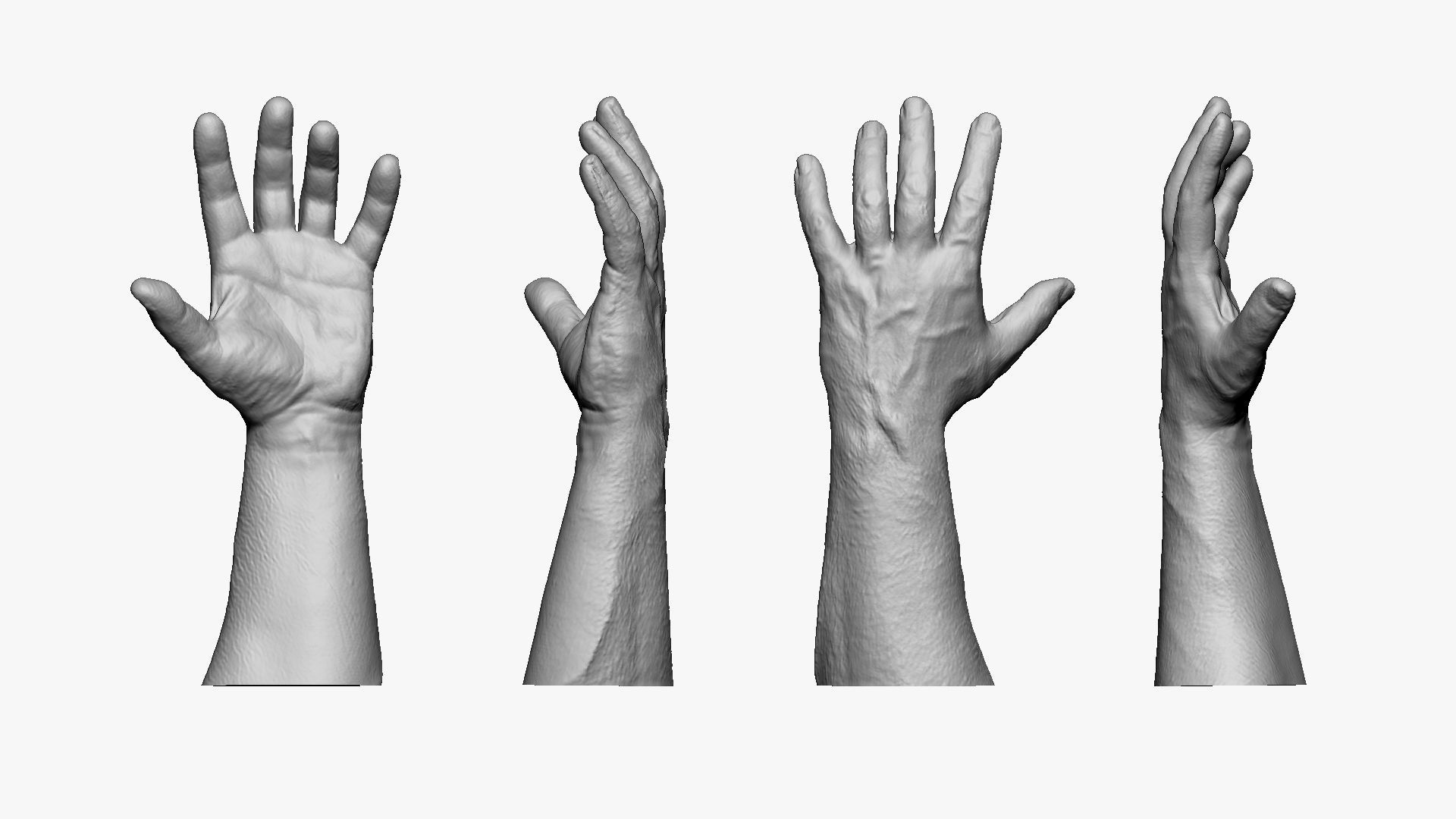 001183 opened hand 3d print ready 3D model 3D printable | CGTrader