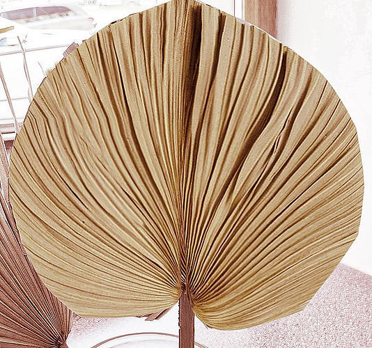 Bamboo fan free 3D model | CGTrader