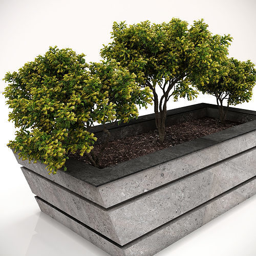 flower box -msk 3D model | CGTrader