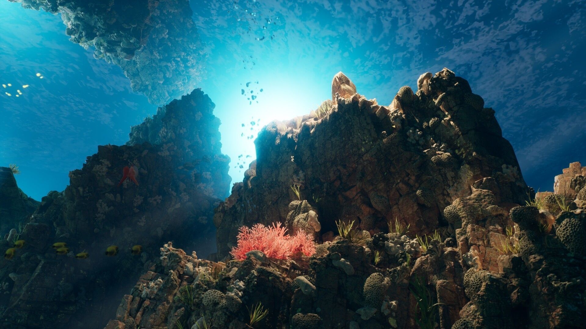 3D model Aqua Coral Reef - Unreal Engine Environment VR / AR / low-poly ...