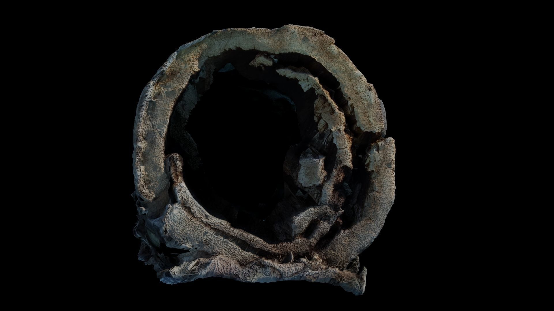 Fallen Rotting Log 3D model | CGTrader