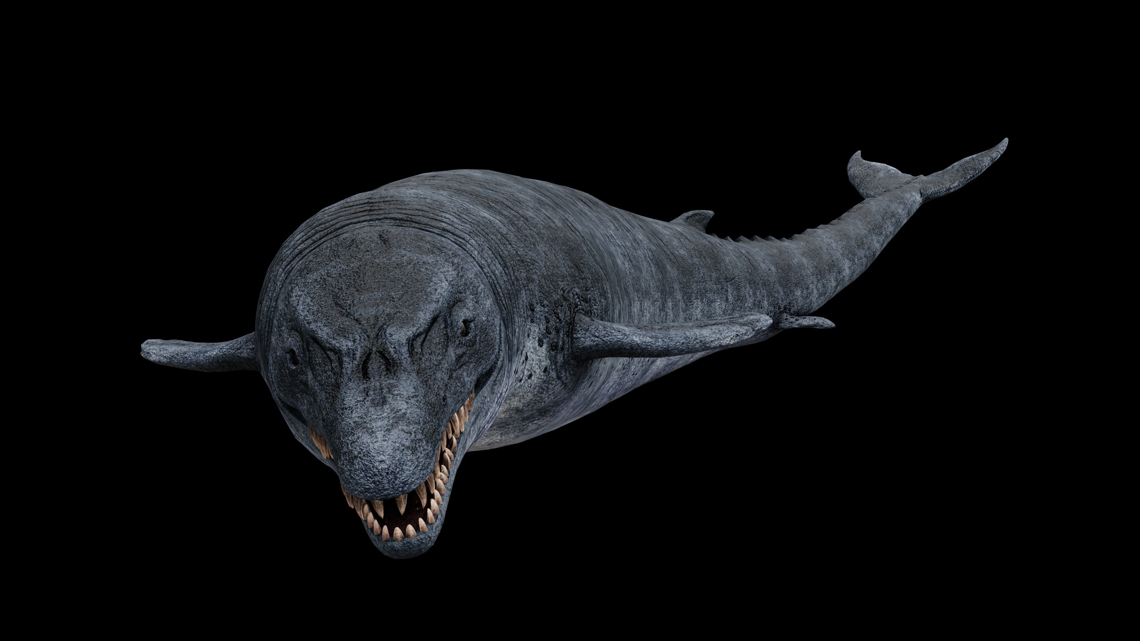 3D model Basilosaurus Sea Dinosaur VR / AR / lowpoly CGTrader