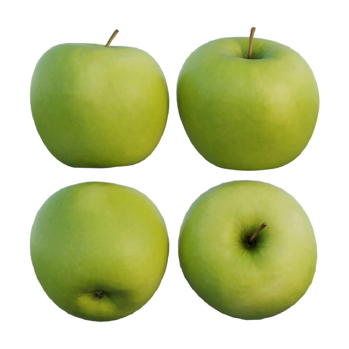 Granny Smith apple 3D model CGTrader