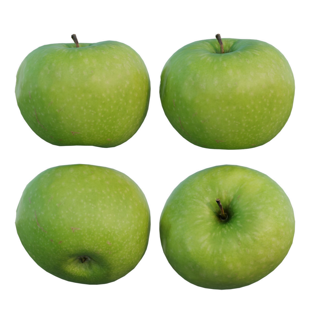 Granny Smith apple 3D model CGTrader