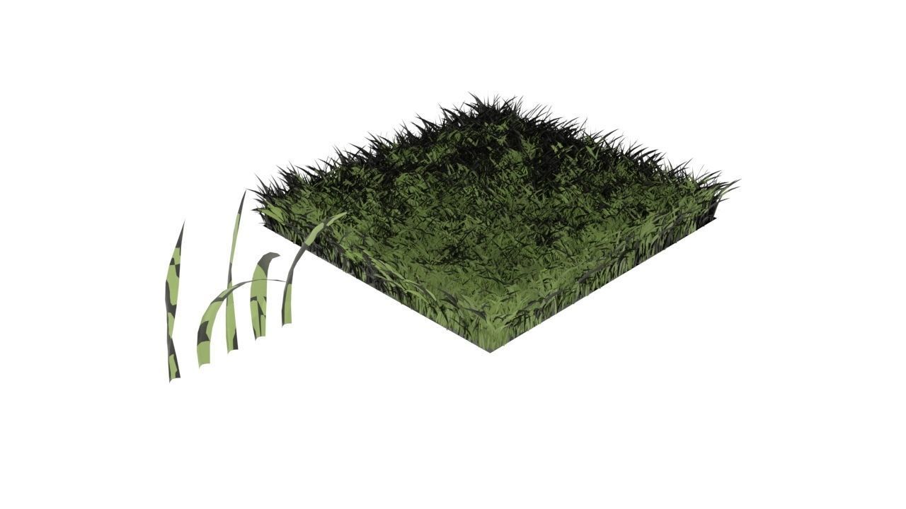 Grasses 3D model | CGTrader